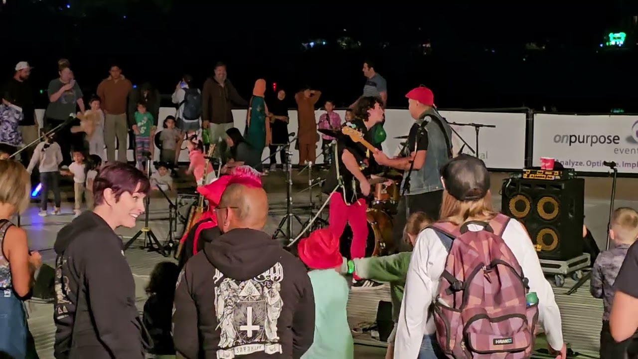 The Steadies - Stolen Dance