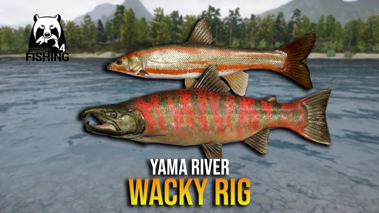 Wacky Rig on Yama River - Russian Fishing 4