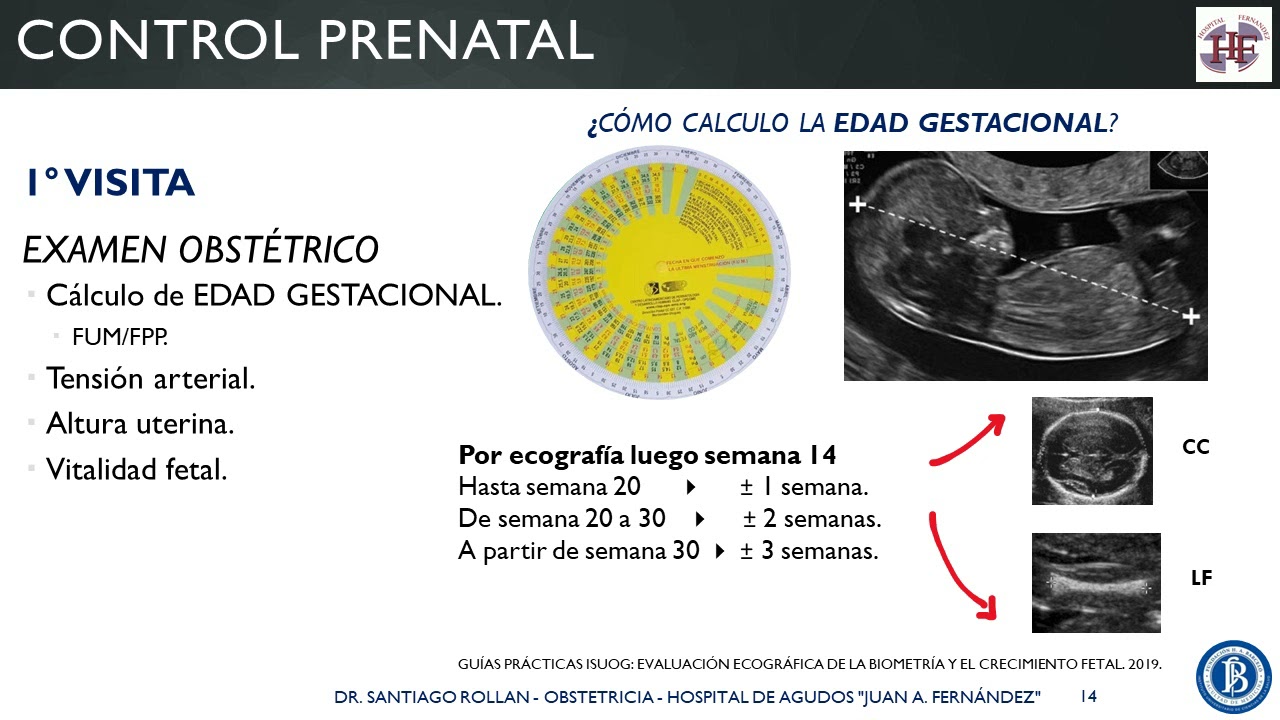 Control prenatal y semiología obstétrica - ROLLAN - Obstetricia - Fundación H. A. Barceló