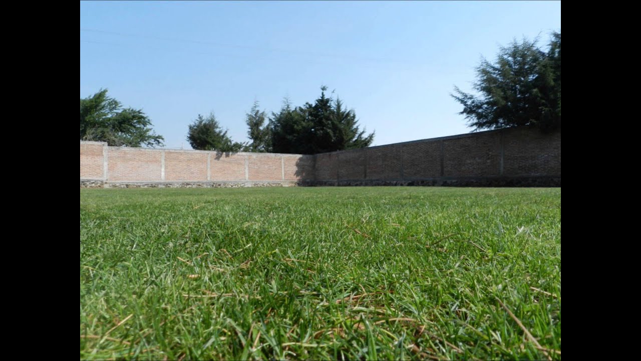 Cancha de Tenis de césped