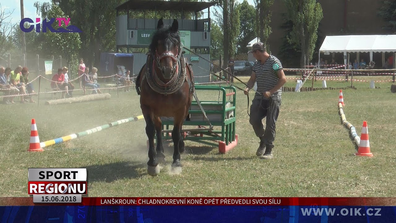 Lanškroun: Chladnokrevní koně opět předvedli svou sílu