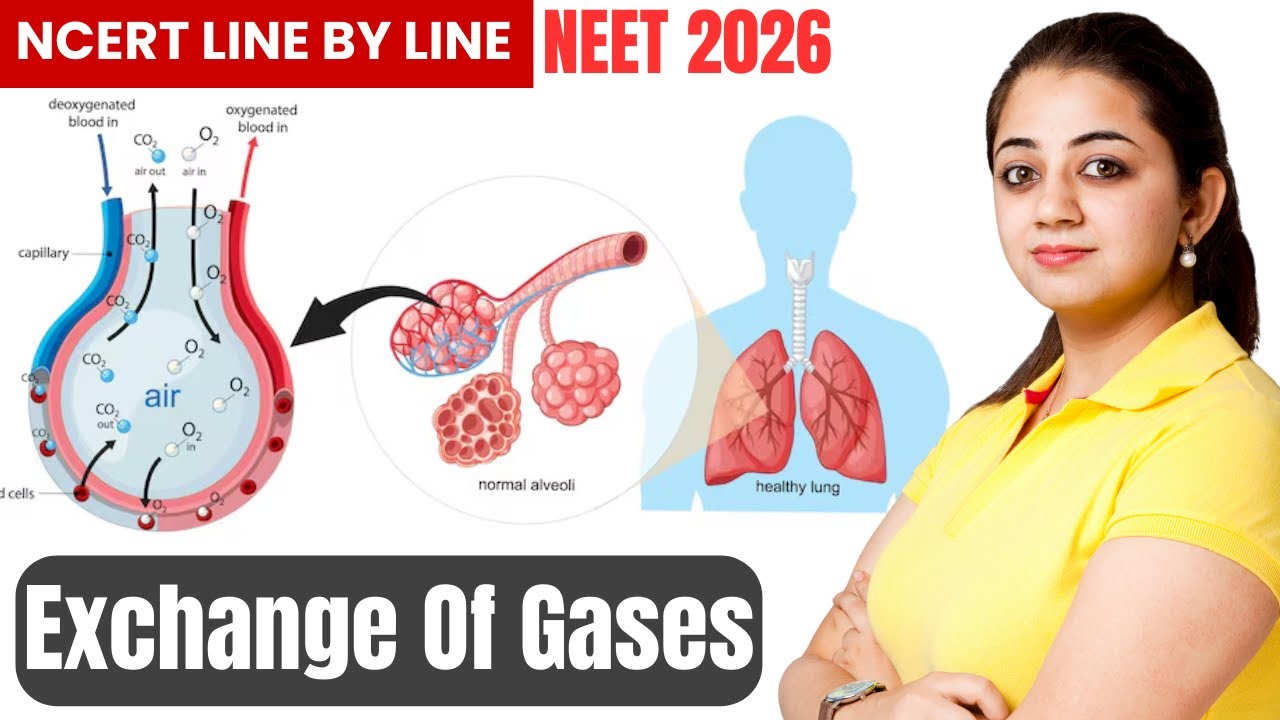 Exchange of Gases | Class 11 Biology | NEET 2026 | NCERT Line by Line | Human Respiratory System