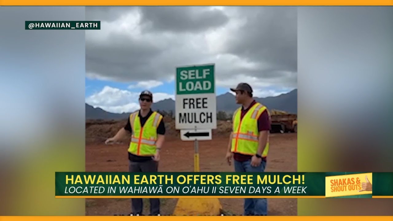 How Much Mulch You Need? Free and Clean!