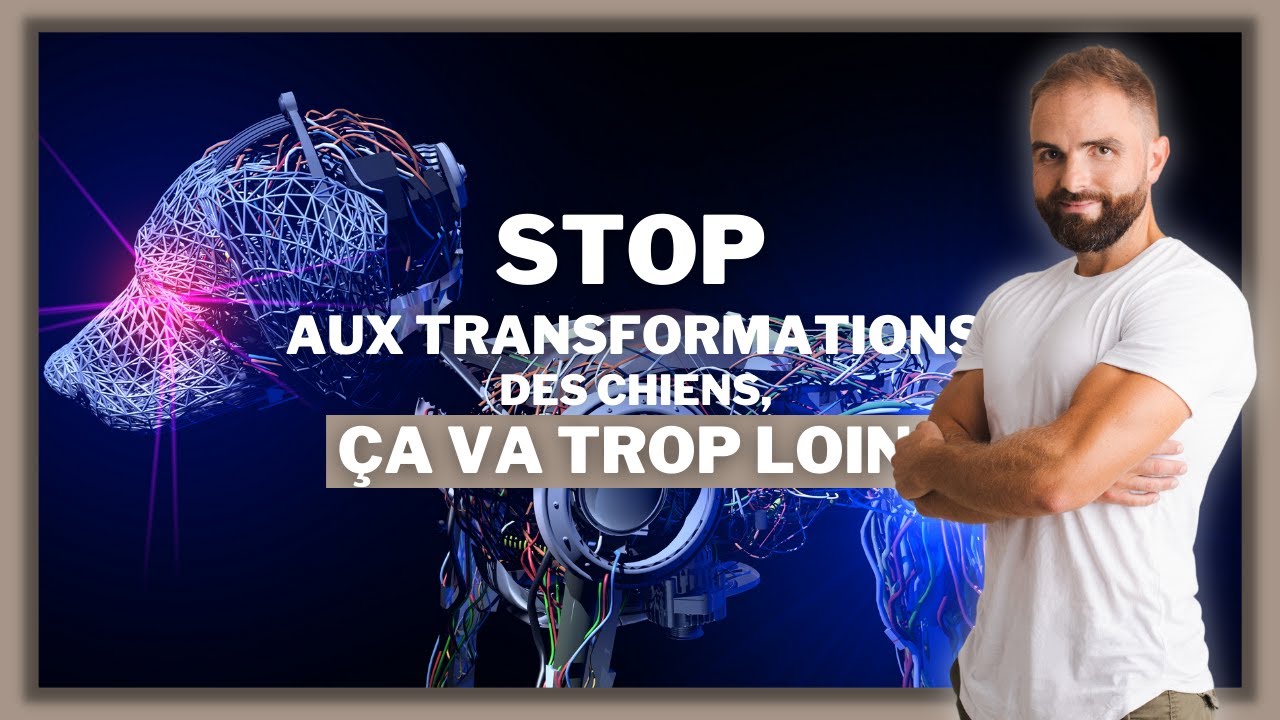 Stop aux transformations des chiens, &ccedil;a va trop loin !