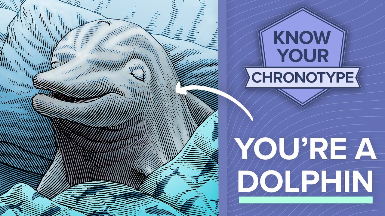 How dolphins are programmed to get poor sleep