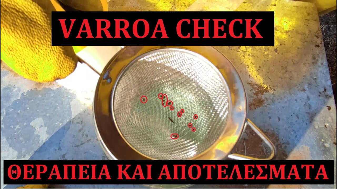 Varroa check- θεραπεία βαρρόα και αποτελέσματα .