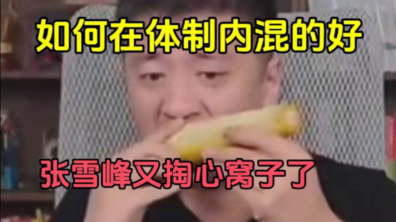 如何在体制内混的好，张雪峰又掏心窝子了