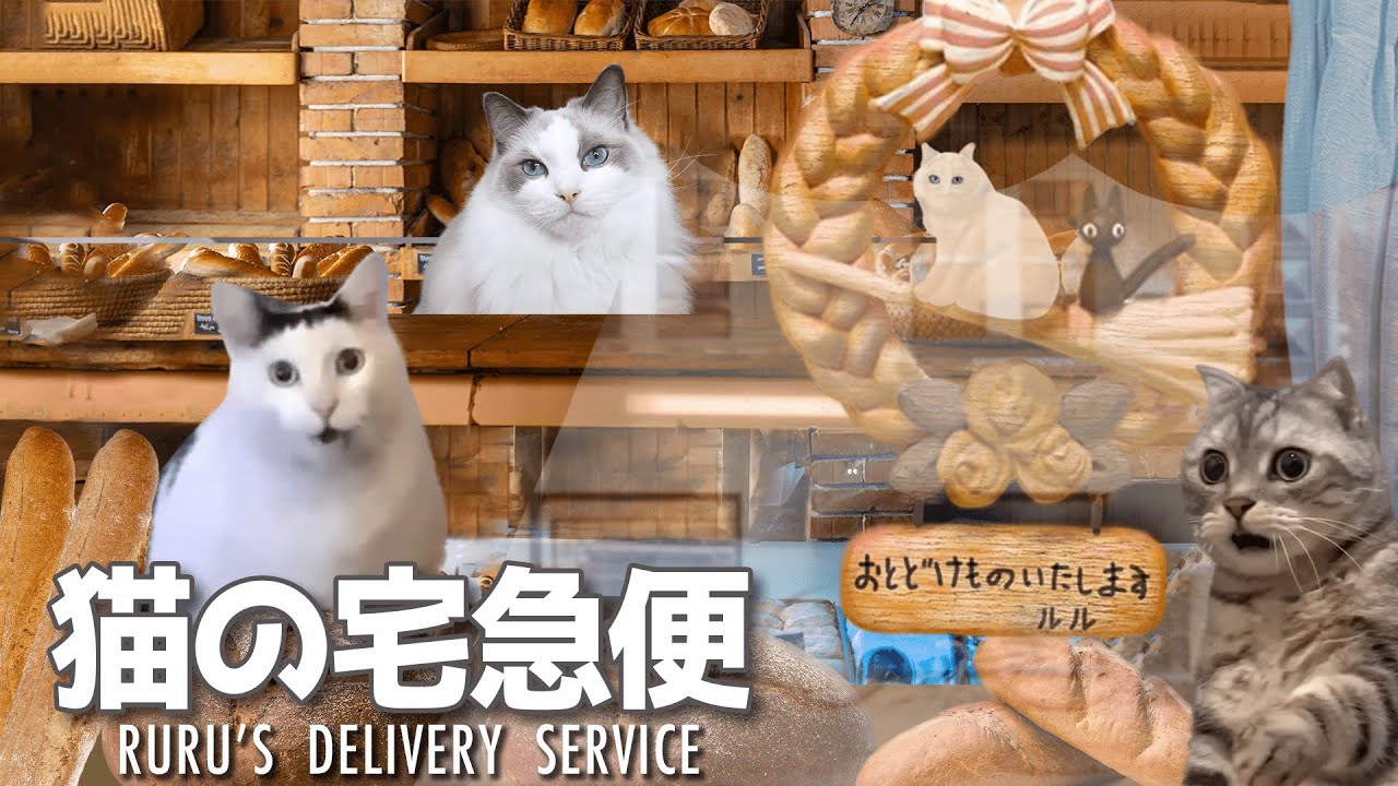 「猫ミーム」猫の宅急便　完全版　Live-action adaptation of Kiki's Delivery Service with cats