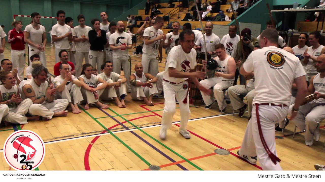 Mestre Gato & Mestre Steen