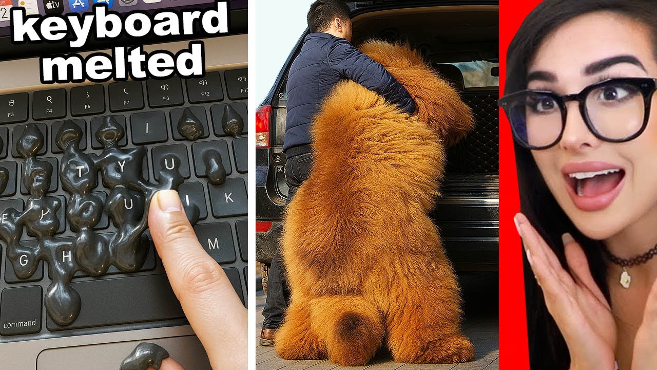 Cool Things You've Probably Never Seen Before