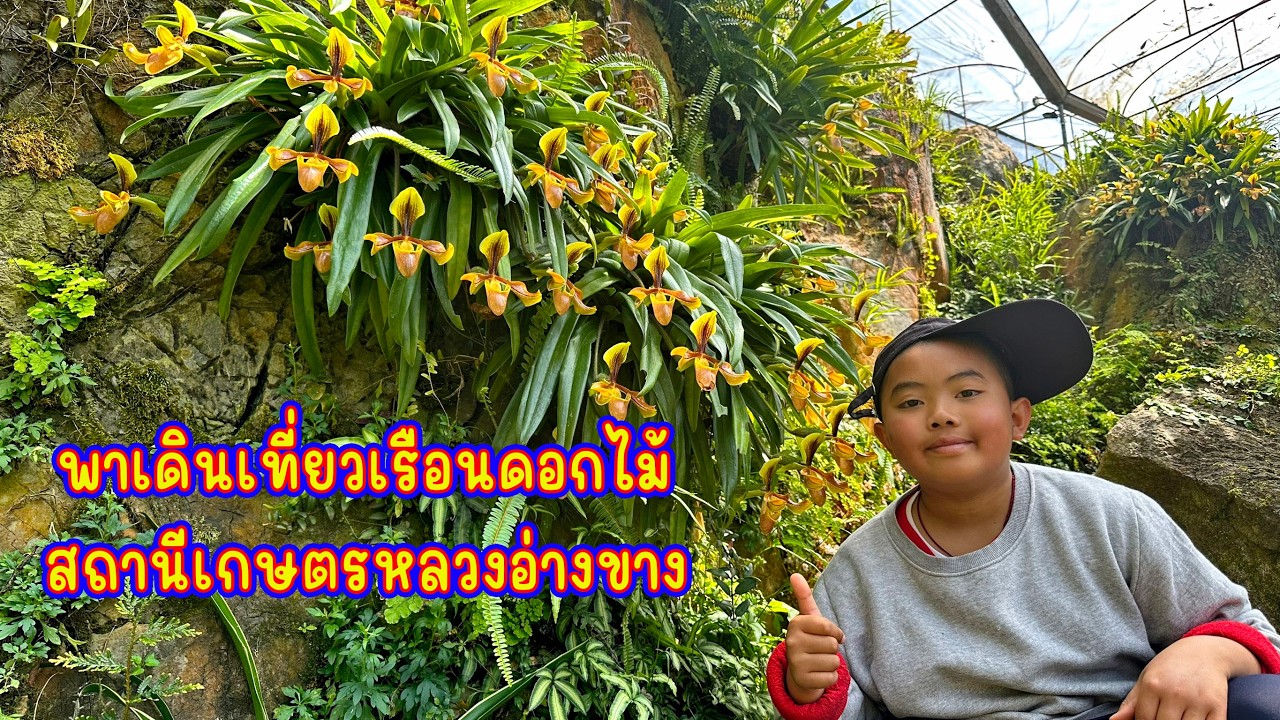พาเดินเที่ยวเรือนดอกไม้ สถานีเกษตรหลวงอ่างขาง