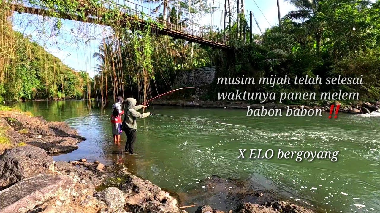 Full Babon Babon Nilem ‼️ Anak Sd Smp g ada di sini ‼️Waktunya Mancing Nilem   #nutulmelem
