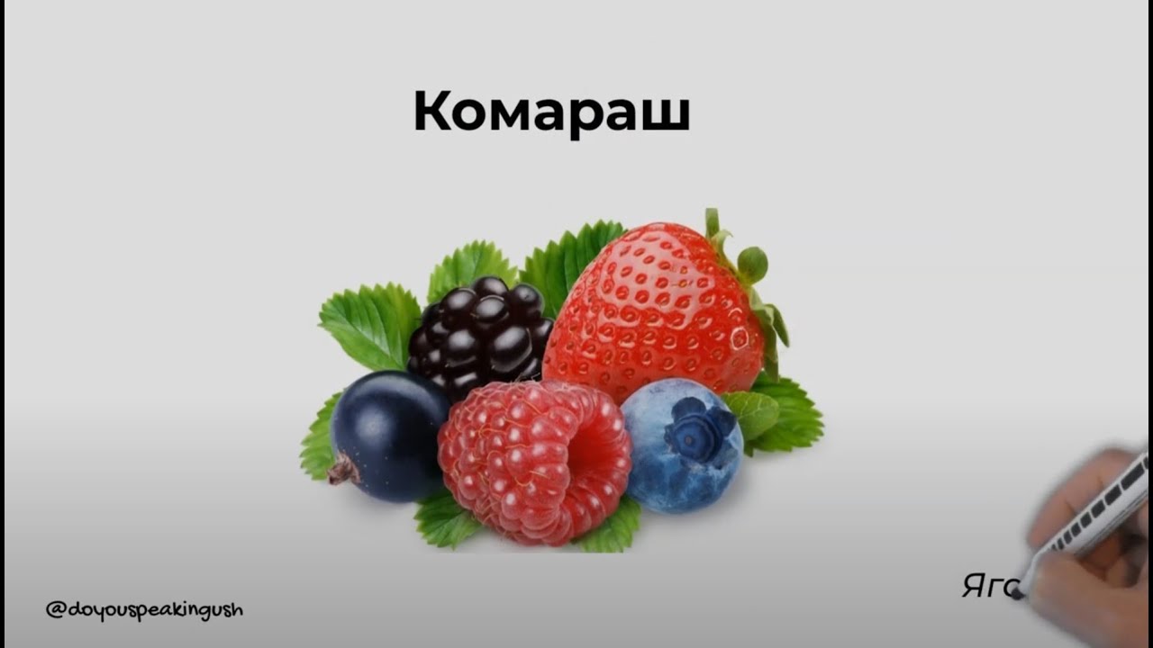 Ягоды на ингушском. Комараш