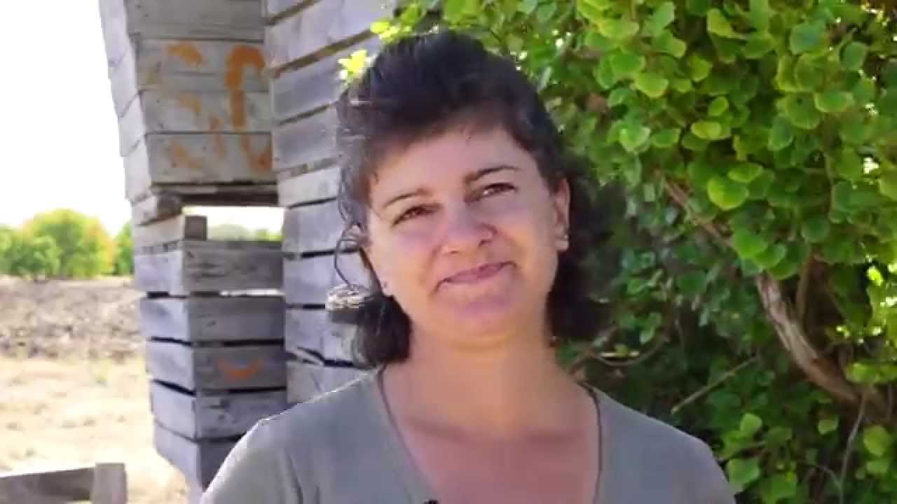 Taste Willunga Farmers Market