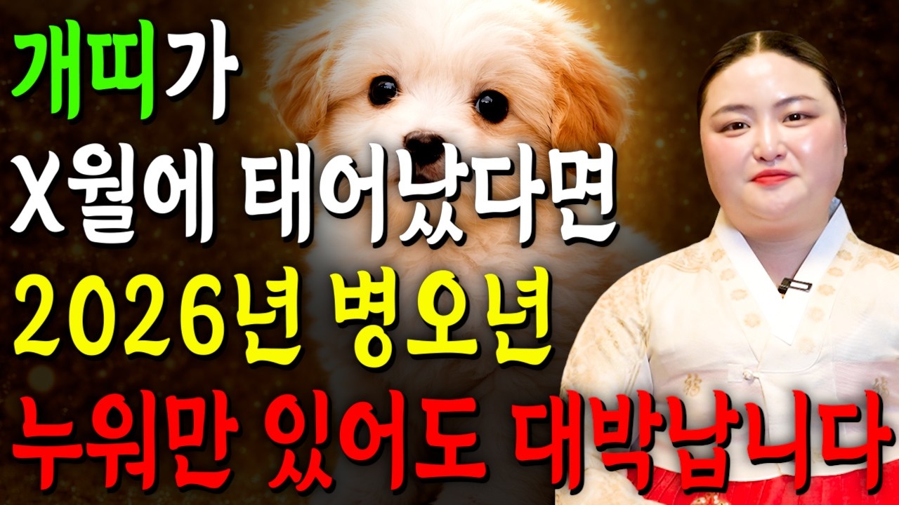 [2026년 병오년 개띠운세] 개띠가 X월에 태어났다면 2026년에 100% 대박납니다! 조상님이 수백억 벌어다주는 58년생 70년생 82년생 94년생 개띠의 운명과 신년운세!