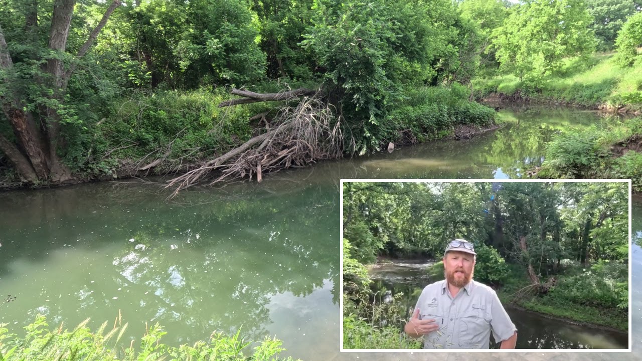 Exploring the Headwaters of the Blue River - Beavers, Wetlands, and Recreating the Blue River Valley