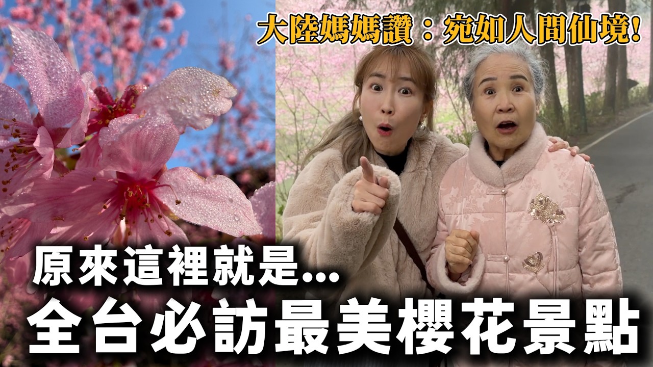 帶大陸媽媽解鎖2026全台必訪最美櫻花景點😍媽媽說：這裡真的是人間仙境啊👍夢裡才會出現的地方！南投·杉林溪賞櫻🌸【我們倆Ricky&Nina】