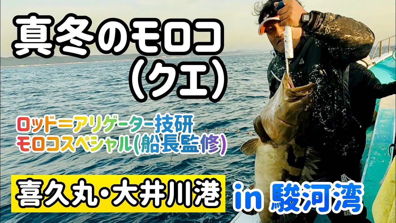 【駿河湾モロコ (クエ) 】  難しい真冬を制す 喜久丸 大井川港 御前崎 2021年2月13日 Longtooth grouper #5