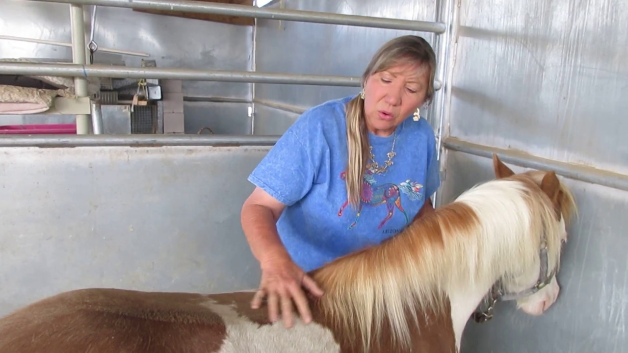 Signs a mare is getting close to foaling