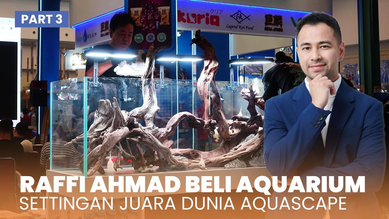 RAFFI AHMAD BELI AQUARIUM SETTINGAN JUARA DUNIA AQUASCAPE