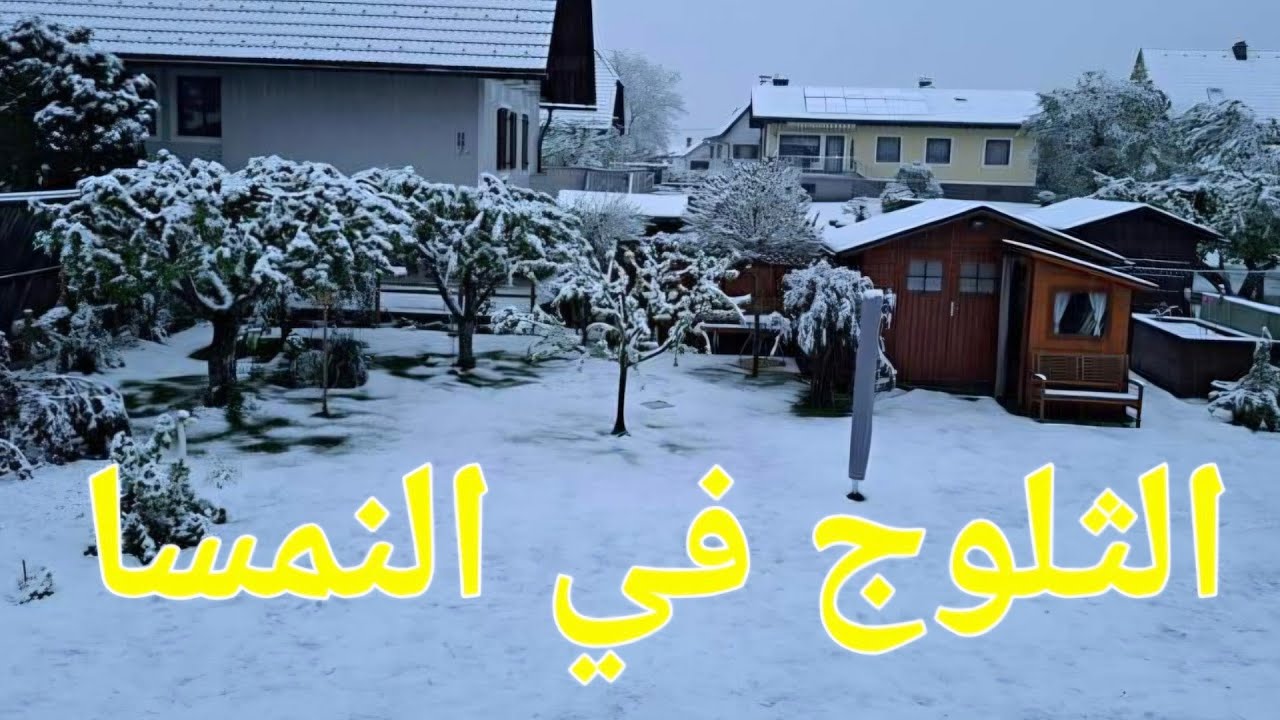 فيروزيات الصباح 