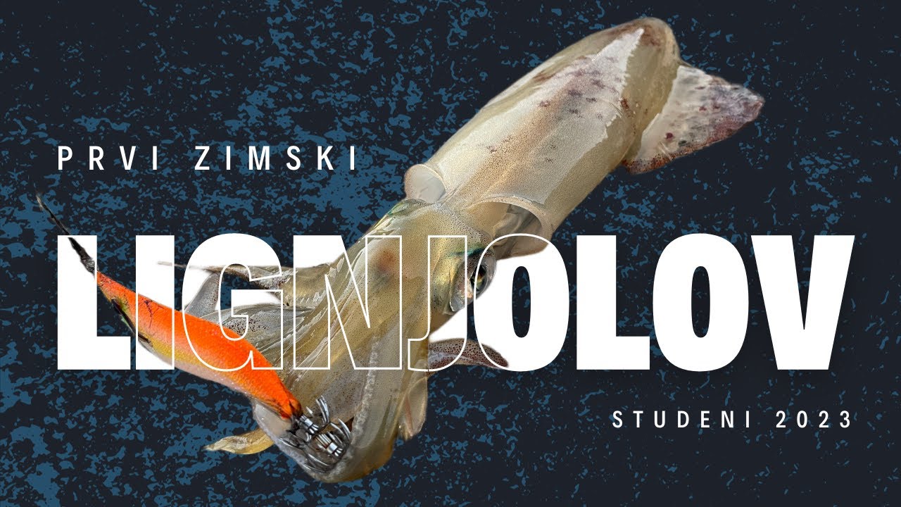 Prvi zimski lignjolov s obale u 2023. | Ulovi, oprema, tehnika, savjeti 🦑🎣