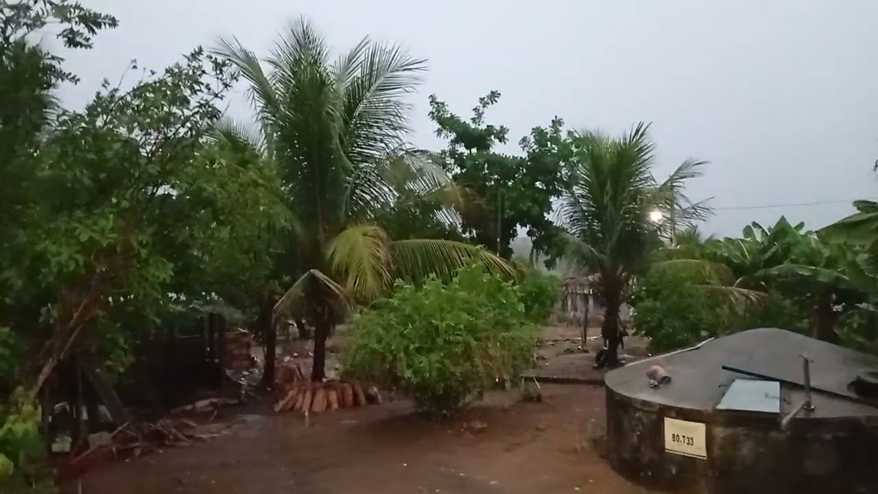 Já chegou a chuva na varzinha município de Itapicuru Bahia,o glória 