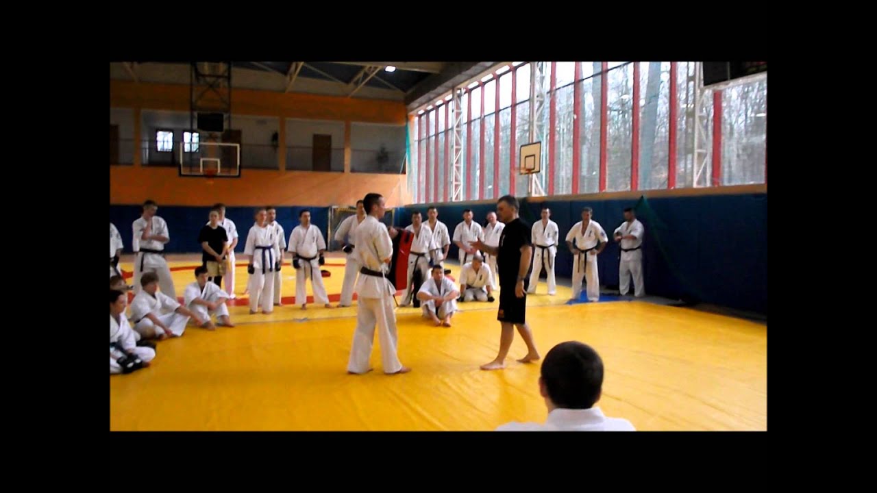 Seminarium Kumite PFKK Wałcz 2014 - karate kyokushin, trening, walki, kumite, kata