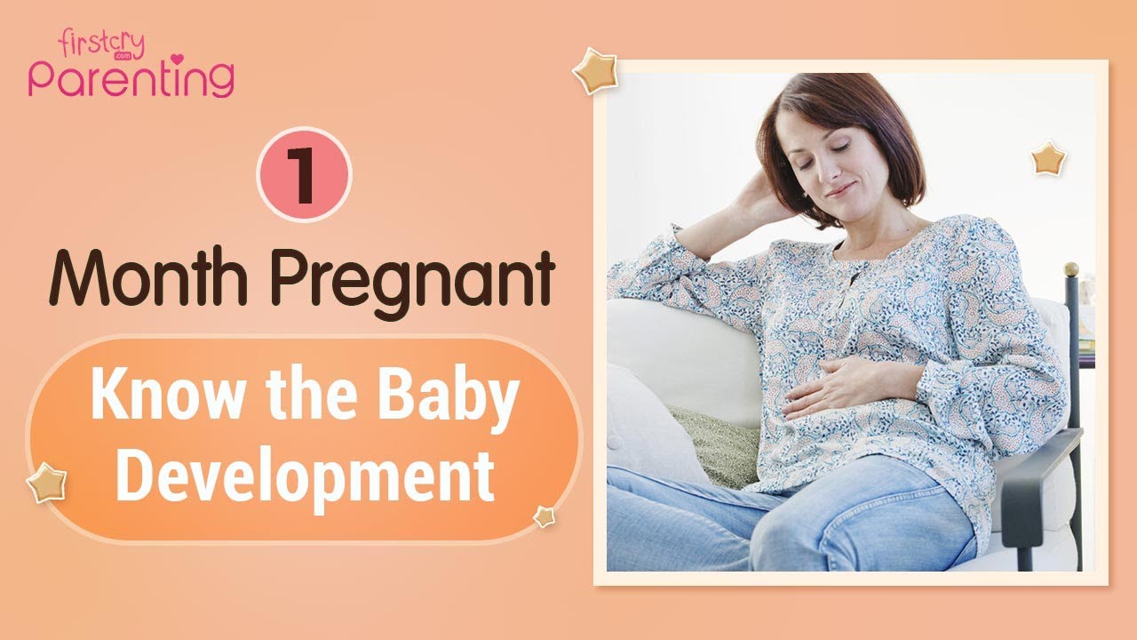 1 Month Pregnant - Know the Baby Development