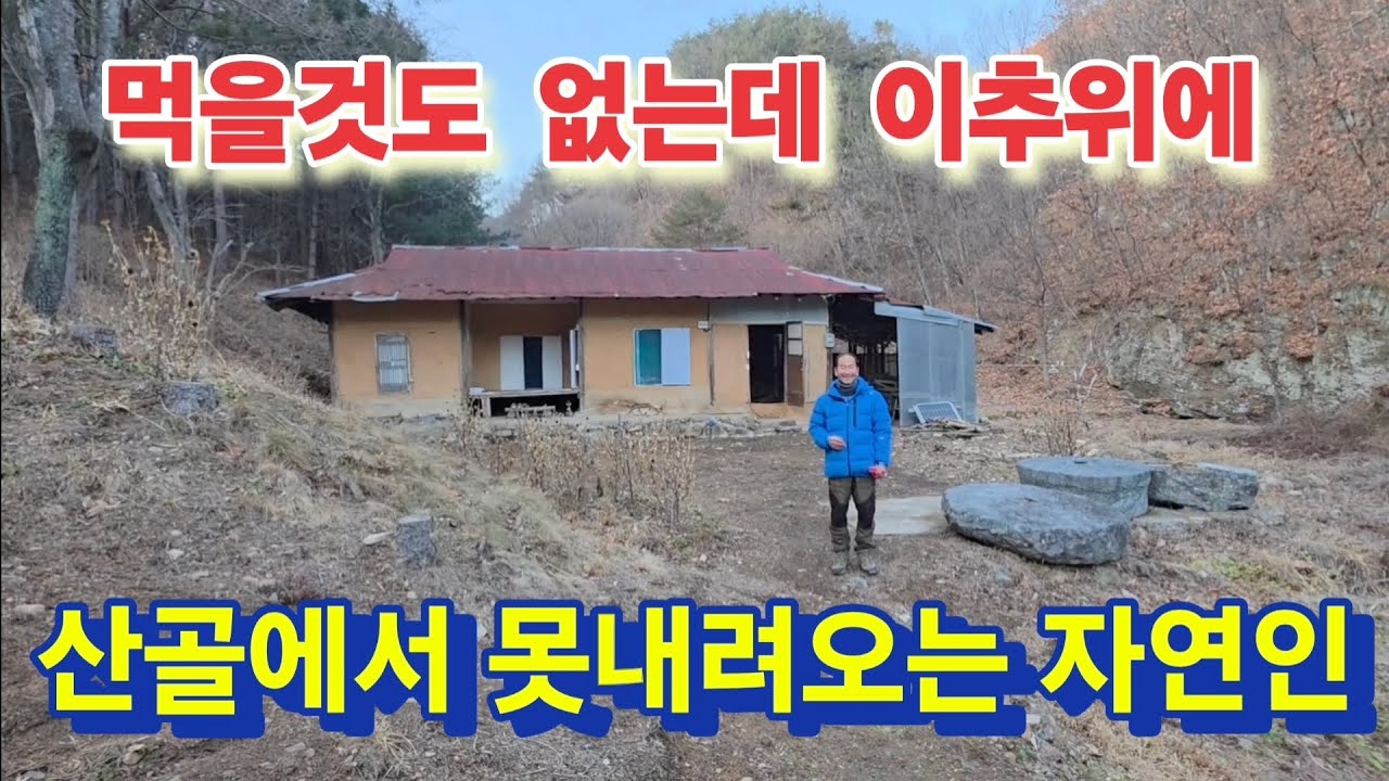 먹을것도 하나 없는 산골자연인 이 추위에 어떻게 버티고 계시나.