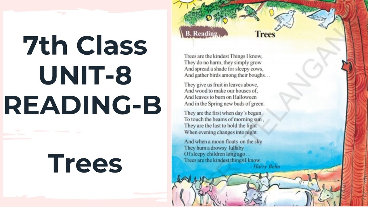 Trees  ||  7th class  ||  Unit-8  ||  Reading-C