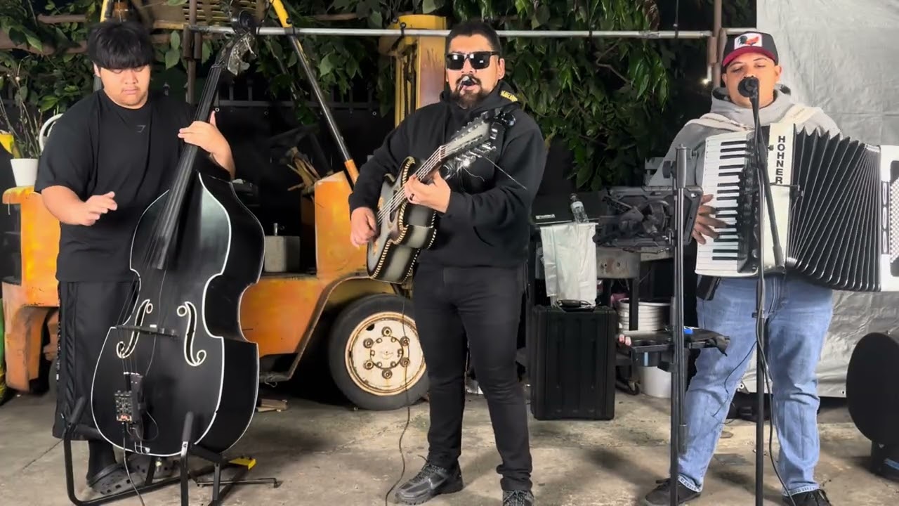 El scrappy (cover song) - Grupo Marca Infiltrada 2026 - IR 