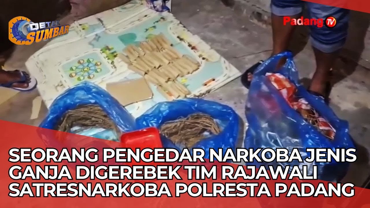 Seorang Pengedar Nark0ba Jenis G4nja Digerebek Tim Rajawali Satresnark0ba Polresta Padang