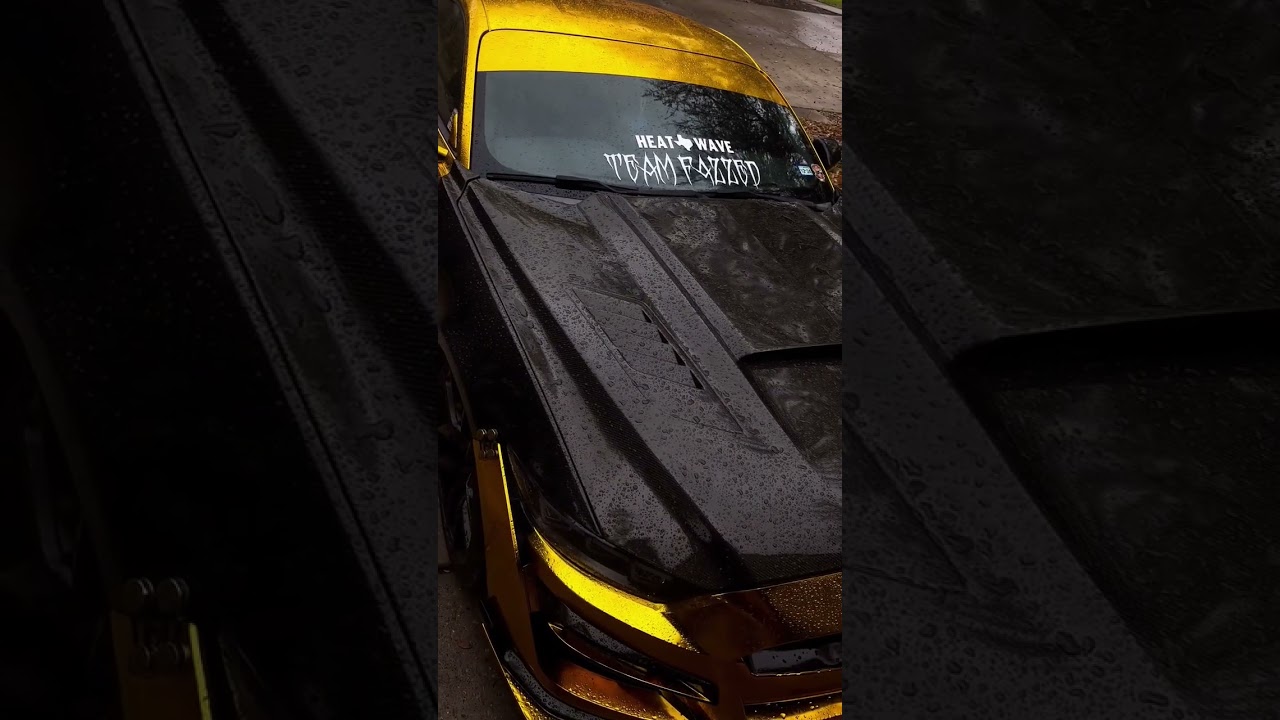 Mustang GT with 24k forged gold vinyl wrap! @rahthewrapper #vinyl #custom #wrap #mustang #gt #v8