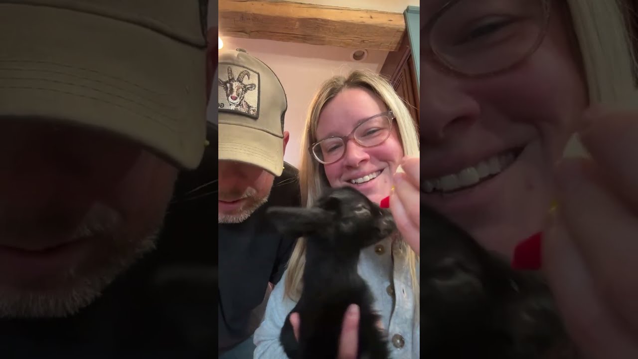 Steinmetz Family Farm is live!