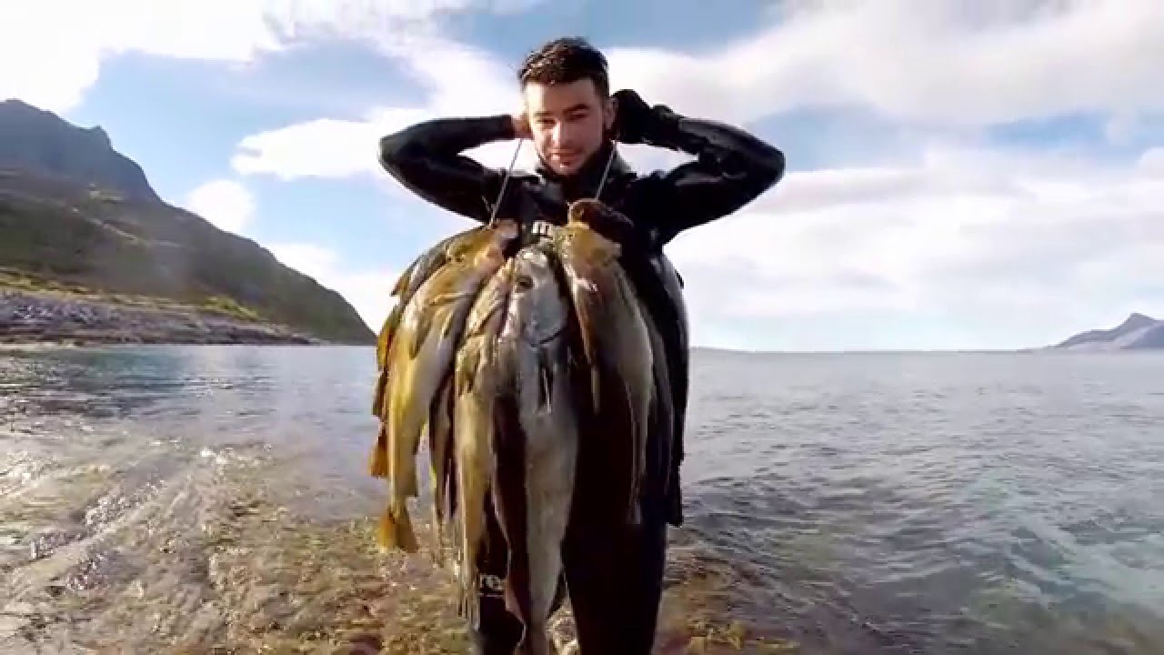 Spearfishing in Northern Norway 2015 HD (long version)