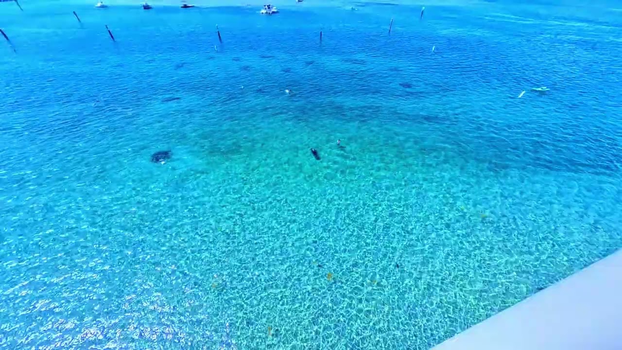 Phil Foster Snorkel Trail from Above