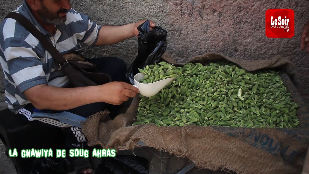 La Gnawiya de Souk-Ahras