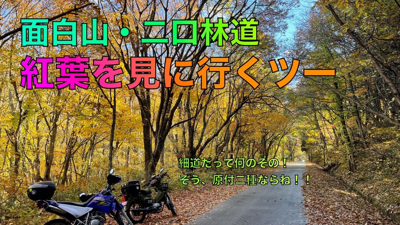【ツーリング】紅葉と道を楽しむ、 面白山・二口林道ツーリング【クロスカブCC110】