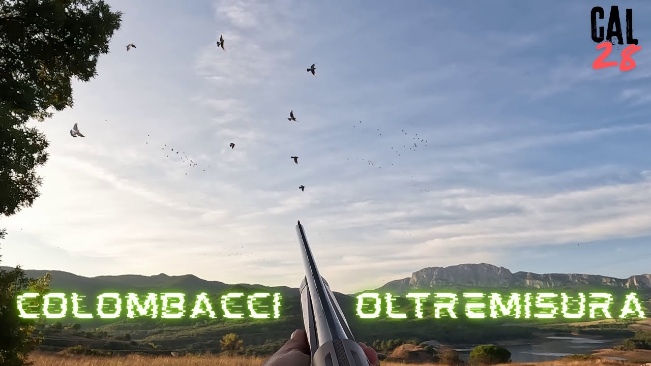 Colombacci smaliziati in cal 28, proviamo la canna 71***