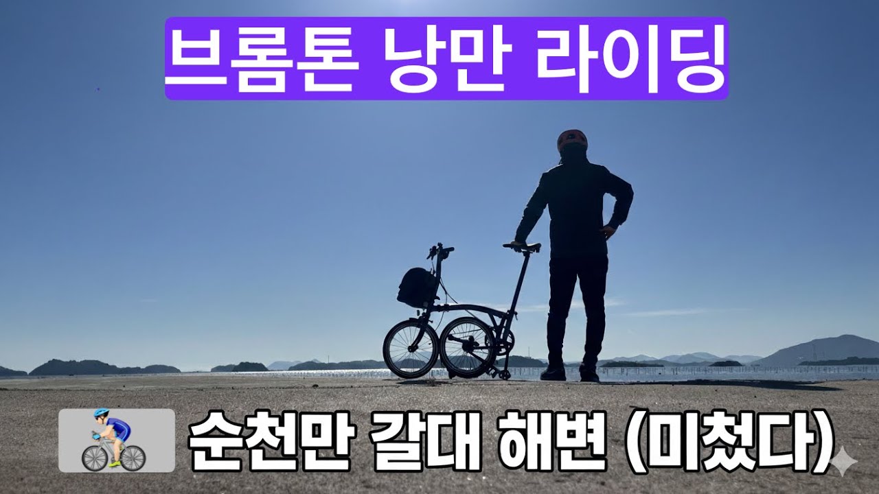 브롬톤 타고 떠나는 순천만 겨울 여행 | 환상적인 갈대숲 라이딩 영상일기