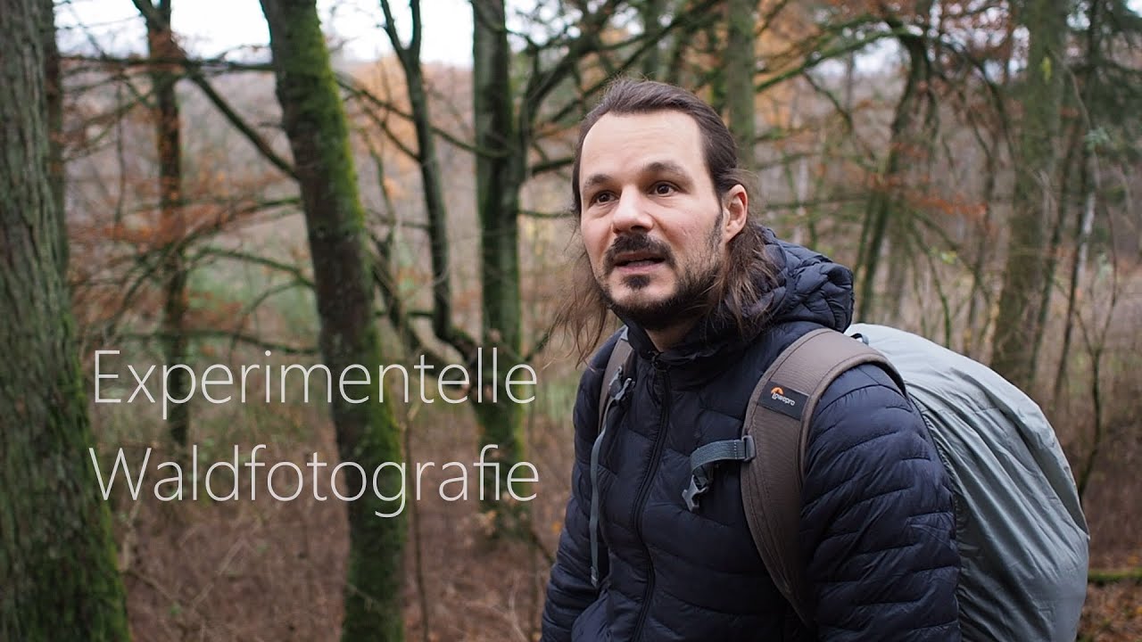 Waldfotografie- Experimentelle Waldfotografie