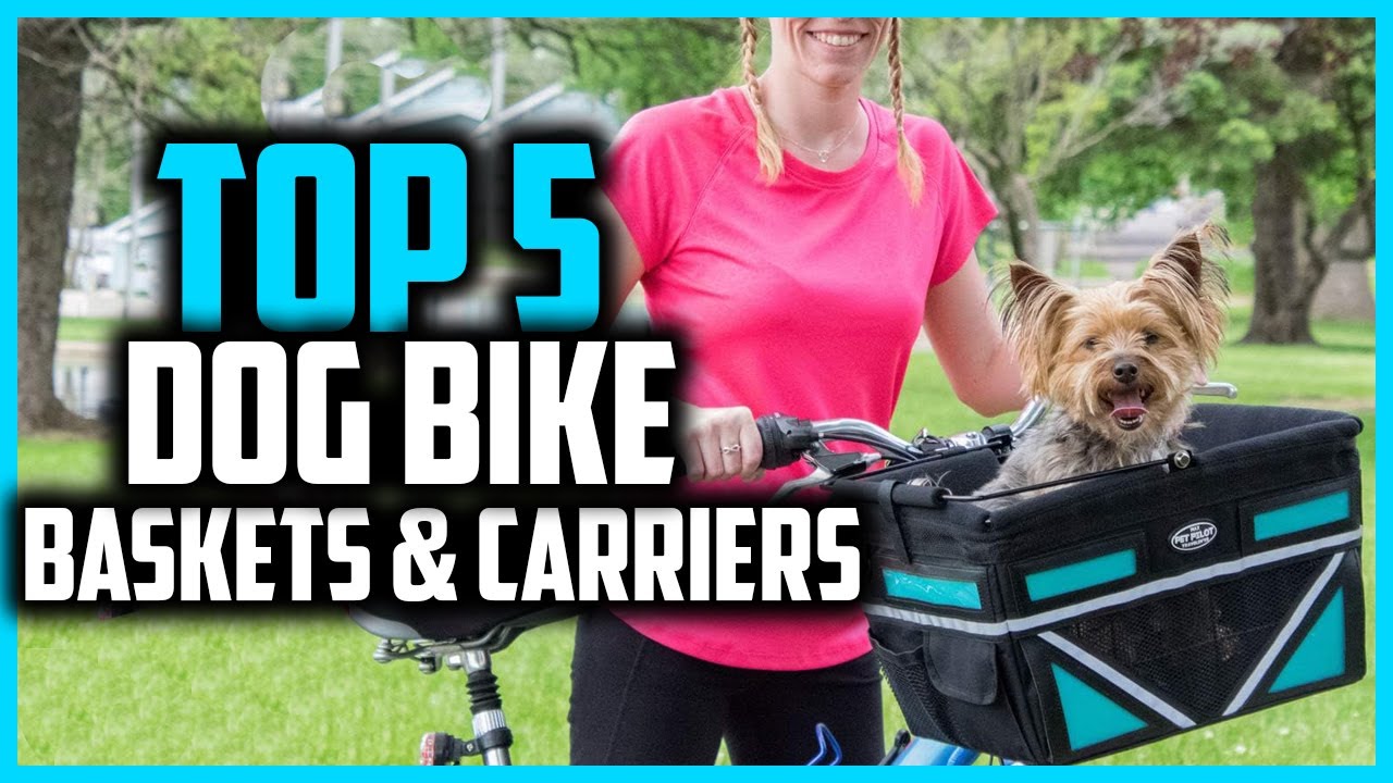 ✅5 лучших корзин для велосипедов для собак в 2024 году