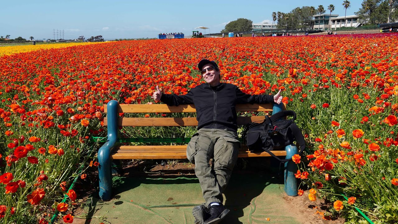 THE FLOWER FIELDS AT CARLSBAD RANCH: YOUR COMPLETE GUIDE! (4K)