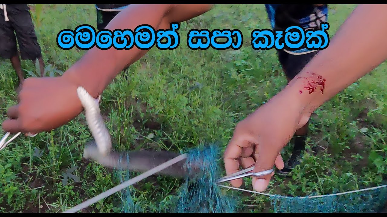 The Rat snake caught in the fish net