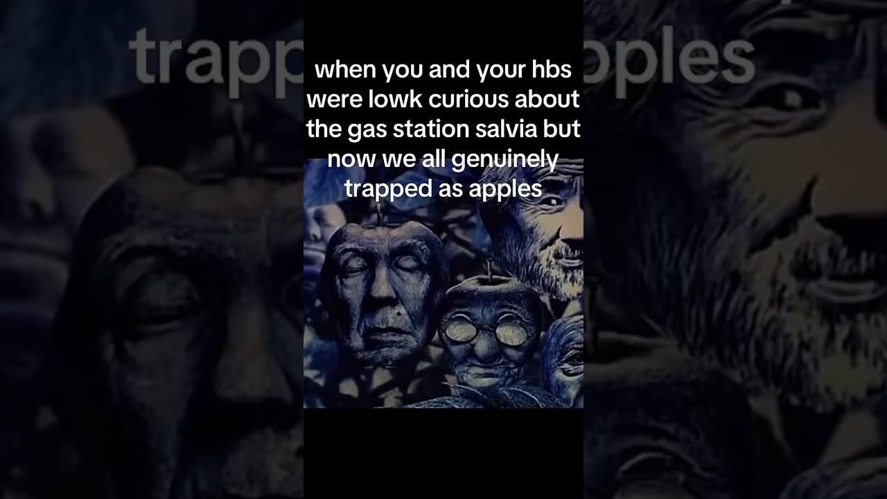 Seen me before ?? #memes #relatable #fyp