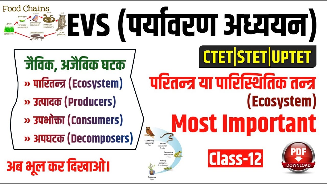 EVS | पारितंत्र या पारिस्थितिक तंत्र | Ecosystem | Types of Ecosystem | Paristhitiki Tantra |Study91