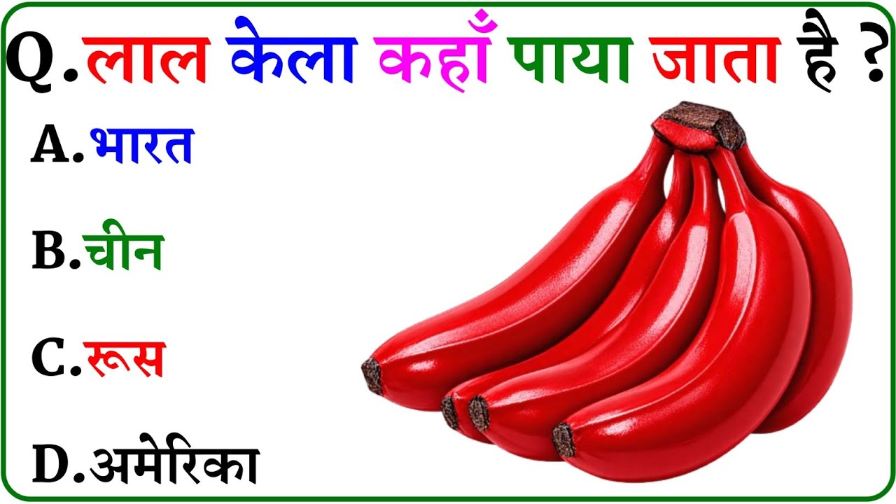 GK Question || GK In Hindi || GK Question and Answer || GK Quiz ||