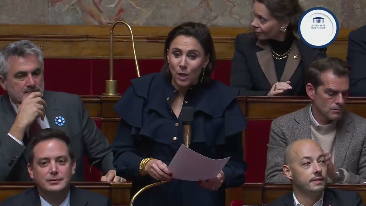 Question au Gouvernement de Laure Lavalette (25/11/2025)