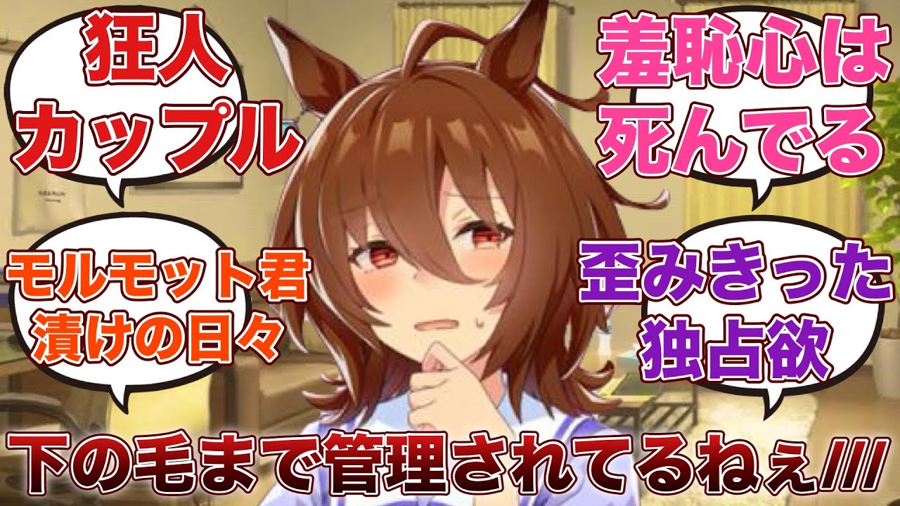 【ウマ娘】「トレーナーに完全に飼いならされプライドも羞恥心も捨てされるがままなアグネスタキオン」に対する反応集